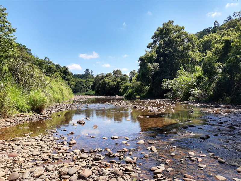 Arroio Castelhano _(Arquivo Divulgação)