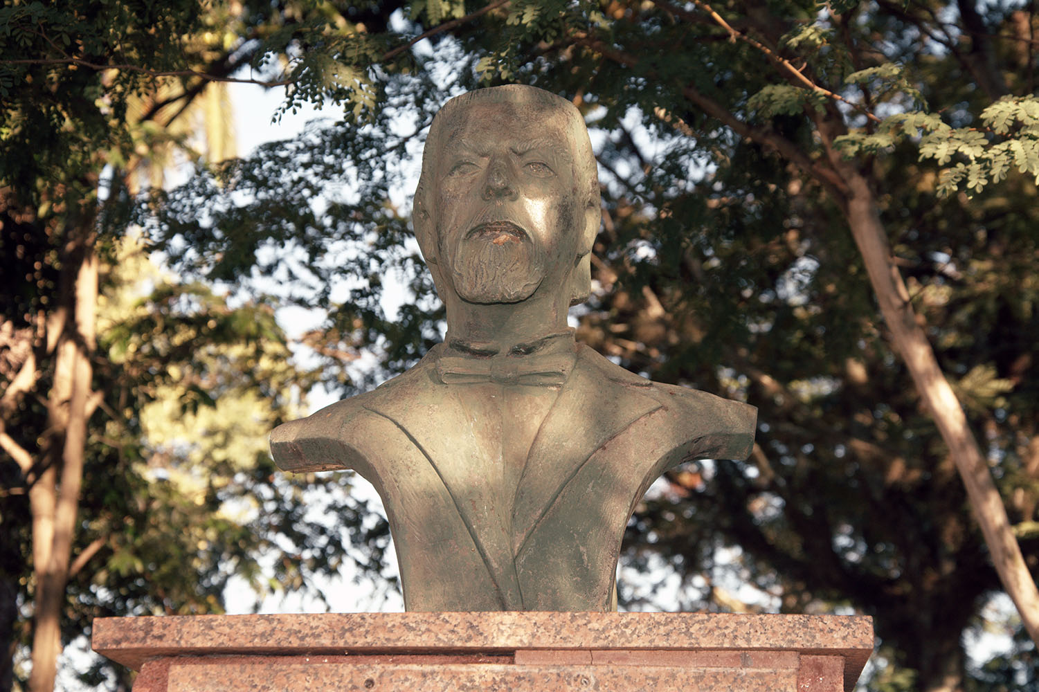 Busto do Jornalista Venâncio de Oliveira Ayres-Detalhe_(Alvaro Pegoraro)